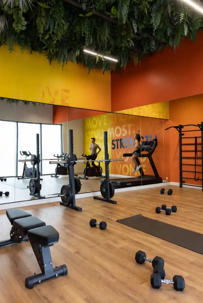 Jungle Energy Mirror Gym